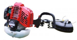 benzina decespugliatore