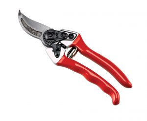 leggera e professionale