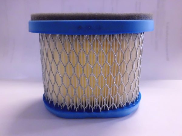 FILTRO ARIA BRIGGS&STRATTON 697029-0
