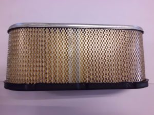 FILTRO ARIA BRIGGS&STRATTON 496894-0