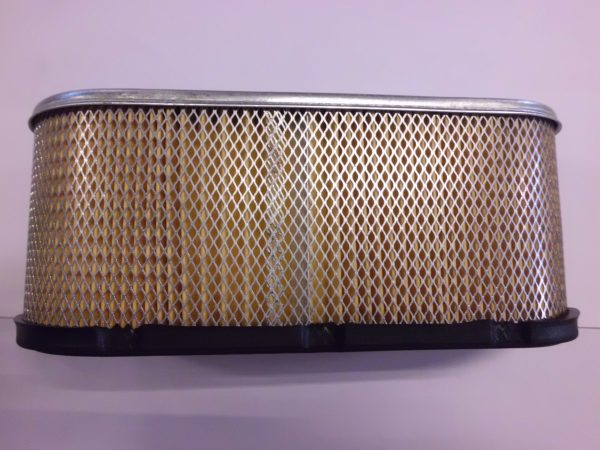 FILTRO ARIA BRIGGS&STRATTON 496894-0