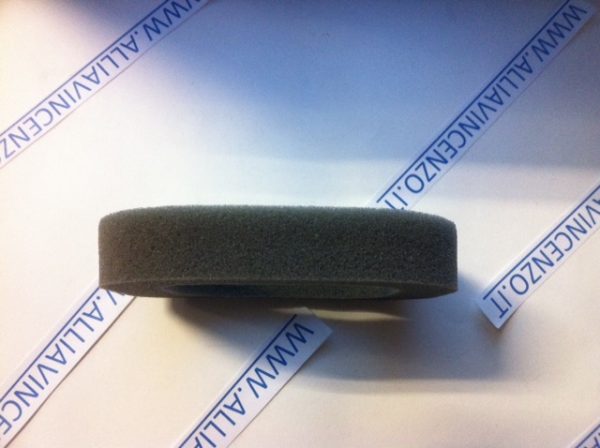 FILTRO ARIA PER MOTORE GGP 118550704/0-7352