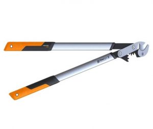 TRONCARAMI PROFESSIONALE