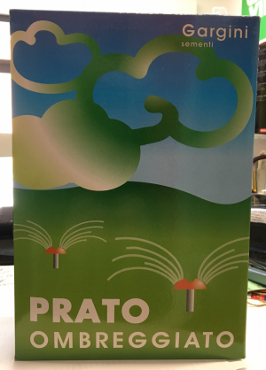 semi per prato ombreggiante