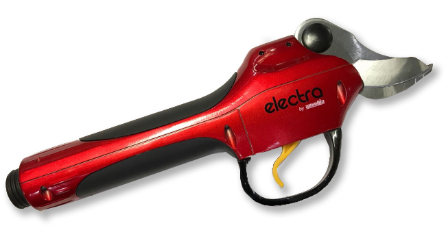 forbici elettriche a batteria 