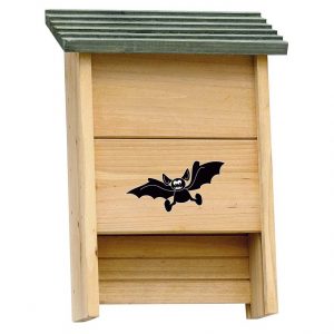 CASETTA PER PIPISTRELLI