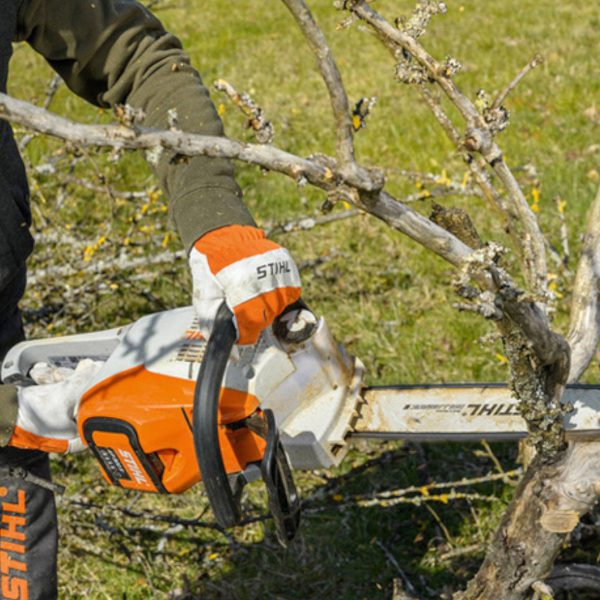 Motosega a batteria Stihl MSA 220 C-B - alliastore