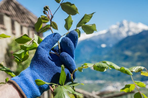 guanti da lavoro imbottiti