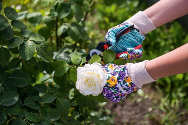 GUANTI PER LAVORI DI GIARDINAGGIO