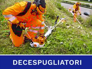Decespugliatori - Alliastore