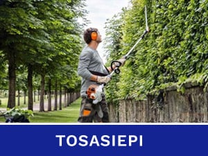 Tosasiepi - Alliastore