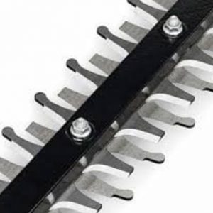 Passo tra i denti del tagliasiepi. Alliastore.it
