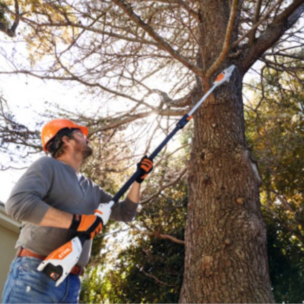 Potatore-Sramatore-a-batterie-Stihl-HTA50-con-batteria-AK20-e-caricabatterie-AL101-alliastore
