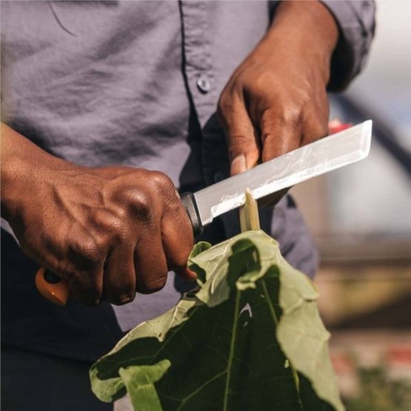 Coltello per la raccolta Fiskars 1062830 - alliastore