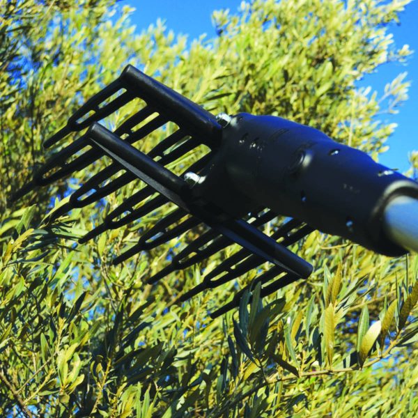 Abbacchiatore Minelli Olivegreen S3 - alliastore