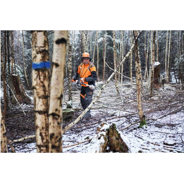 Potatore ad asta a batteria stihl HTA150 - alliastore