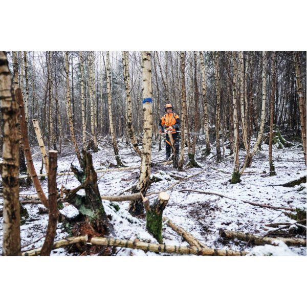 Potatore ad asta a batteria stihl HTA150 - alliastore
