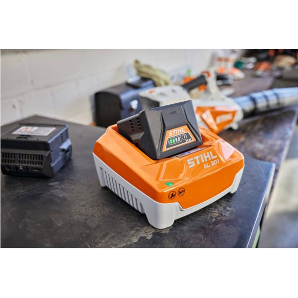 Caricatore stihl al 301 - alliastore