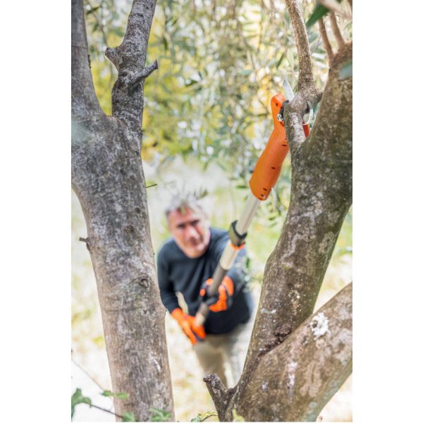 Forbice telescopica stocker e 35 - alliastore
