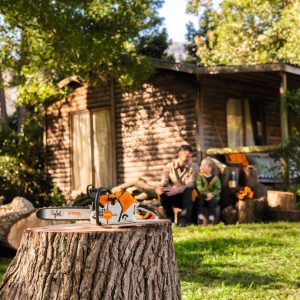 Motosega giocattolo Stihl - alliastore